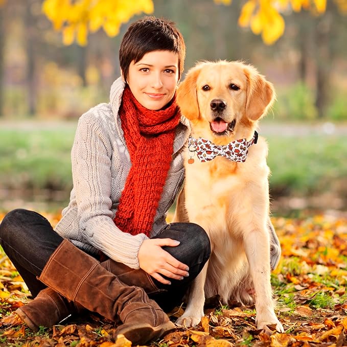ADOGGYGO Thanksgiving Dog Collar with Bowtie, Fall Pumpkin Pet Thanksgiving Collars with Detachable Bow, Adjustable Fall Collars for Small Medium Large Dogs (Large)