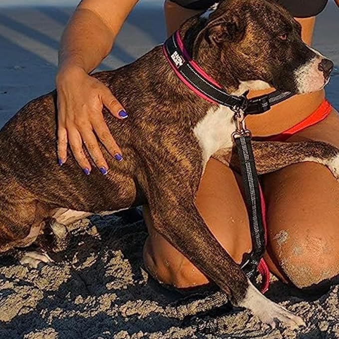 Black Rhino - The Comfort Collar Ultra Soft Neoprene Padded Dog Collar for All Breeds - Heavy Duty Adjustable Reflective Weatherproof (Small, Pink/Black)