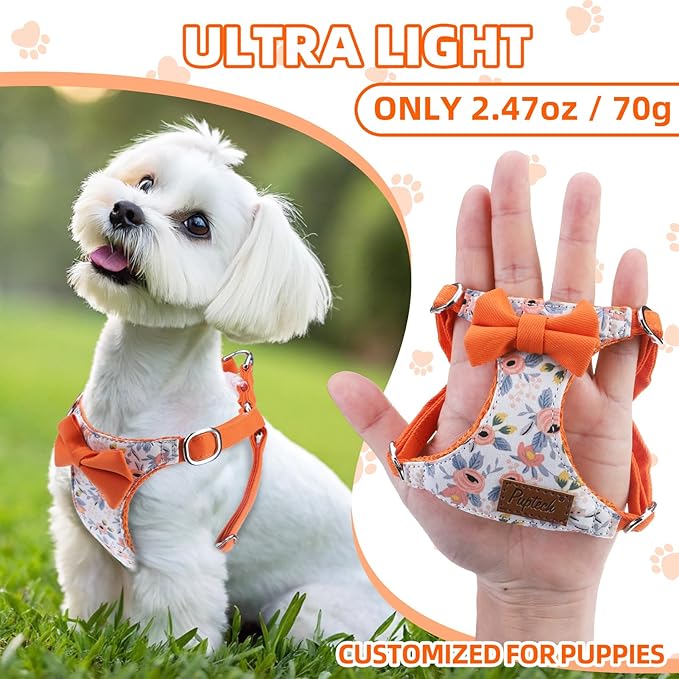 PUPTECK Dog Harness and Leash Set Small Sized, Step-in Cute Puppy Harness, Soft Lightweight Padded Vest, Escape Proof No Pull Pet Harnesses Easy for Walking, Flower Orange, M