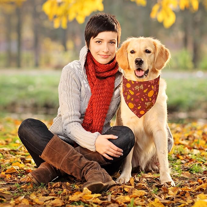 ADOGGYGO Thanksgiving Dog Bandana, Pumpkin Turkey Pet Scarf, Multi Size Offered, Fall Autumn Leaves Thanksgiving Bandanas for Medium Large Dogs Pets (Large)