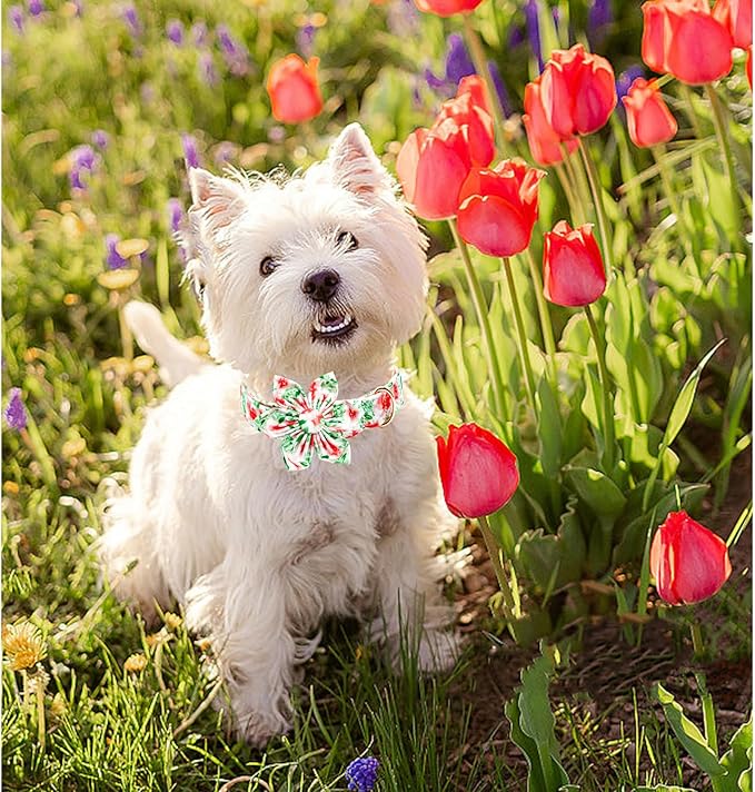 Lionheart glory Dog Collar Flowers Collar Floral Dog Collar with Flower Spring Summer Cute Collar Dog Boy or Girl Dog Collars Soft Durable Adjustable Dog Collars for Small Dogs