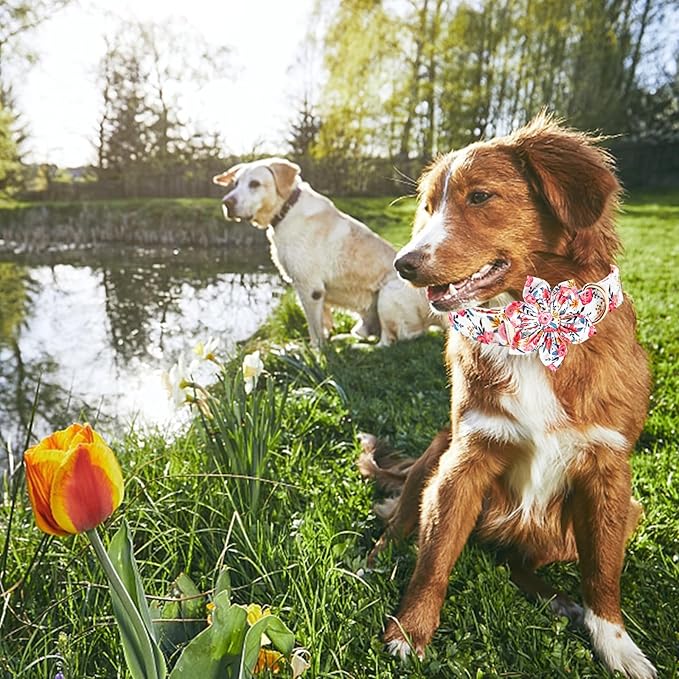 Lionheart glory Dog Collar Flowers Collar Floral Dog Collar with Flower Spring Summer Cute Collar Dog Boy or Girl Dog Collars Soft Durable Adjustable Dog Collars for Large Dogs