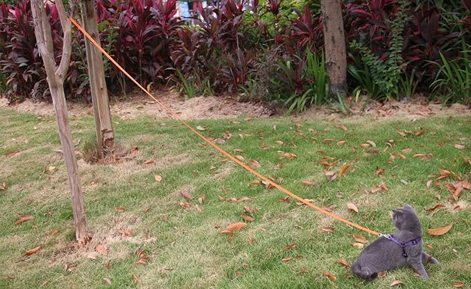 AMAGOOD 6 FT Cat Leash, Strong and Durable Traditional Style Leash with Easy to Use Collar Hook,Cat Lead Great for Cats (3/8 in x 6 ft,Black and Orange(2-Pack))