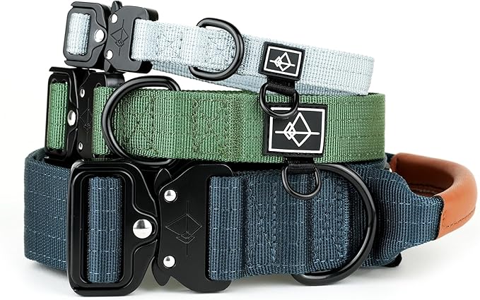 Made to ROAM Premium Explorer Control Collar - Adjustable Heavy Duty Nylon Dog Collar with Quick-Release Metal Buckle and Leather Handle (Colorado Nightsky, Size 2, Control)