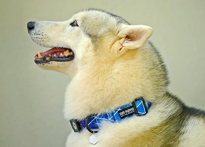 Tuff Pupper Premium Adjustable Dog Collar for X-Large Girl Dogs, Stylish Pattern Collars Designed in USA, Quick Release Buckle, Supernova Print for Female Dogs, XL (1.25 Inch Wide x 20-30 Inch Neck)