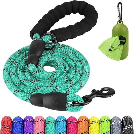 Joytale Reflective Dog Leash, Heavy Duty Nylon Rope with Poop Bag Holder, Highly Reflective Threads Leashes for Medium Large Dogs, Teal, 6'×1/2''