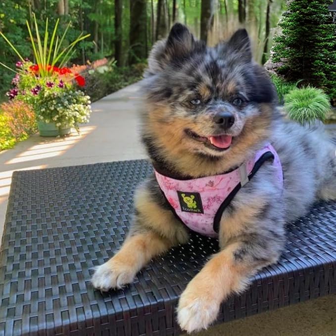 EcoBark Step in Dog Harness - Eco-Friendly Dog Harnesses for for Small & Medium Breed Dogs - Reflective and Adjustable Chest Body Halter Vest -Soft Luxurious Mesh (Floral, XL)