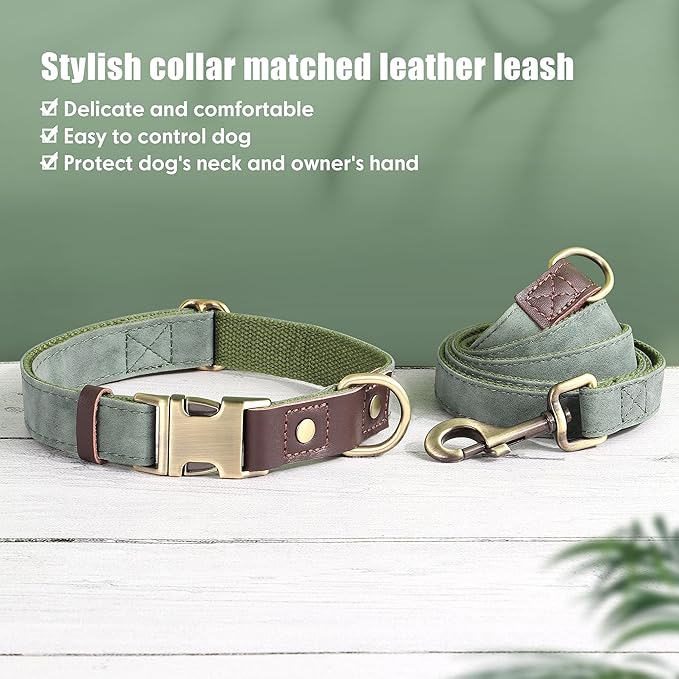 Didog Soft Padded Leather Dog Collars for Medium Dogs, Classic Heavy Duty Dog Collars Adjustable with Quick Release Metal Buckle,Green,M Neck 13-19"
