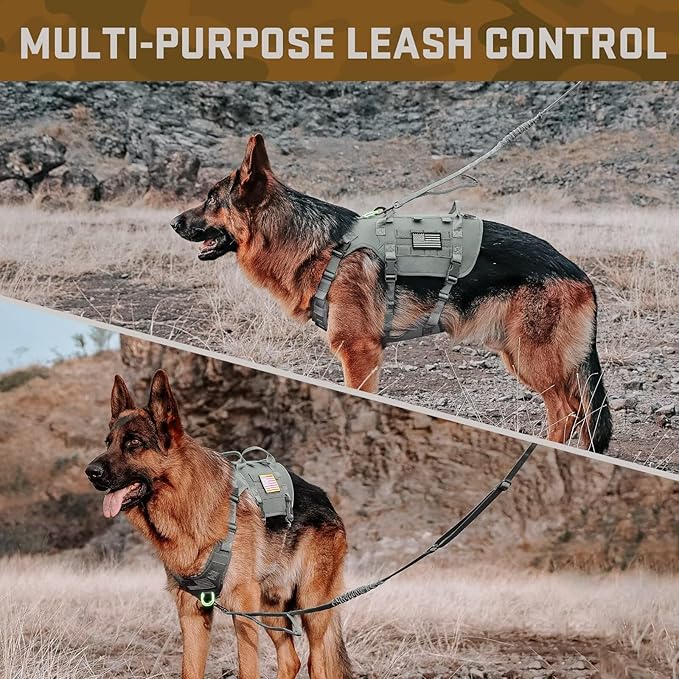Forestpaw Tactical Dog Harness for Large Dogs,Tactical Dog Collar with Bungee Leash Set,No Pull Military Dog Harness for Walking Training,Adjustable for Medium Large Dogs,Gray,Chest 15.5-25.5"