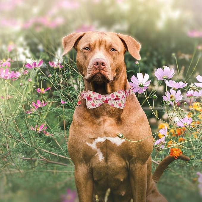 ADOGGYGO Floral Dog Collar with Bow, Red Pink Rose Flower Dog Bow Collar with Metal Buckle, Adjustable Pet Floral Collars for Large and Extra Large Dogs (X-Large)