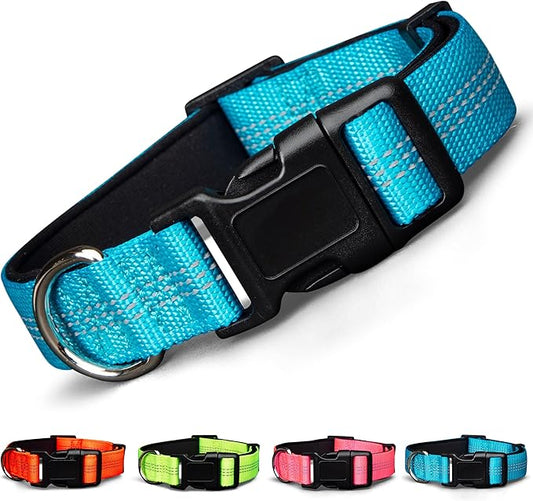 BLAZIN Reflective Dog Collar - Vibrant Color for Day and Night - Soft Neoprene Padded Collar - Adjustable Sizing -'Color Me Happy!' Dog Collars - Brighter Means Safer - (Large, Blue)