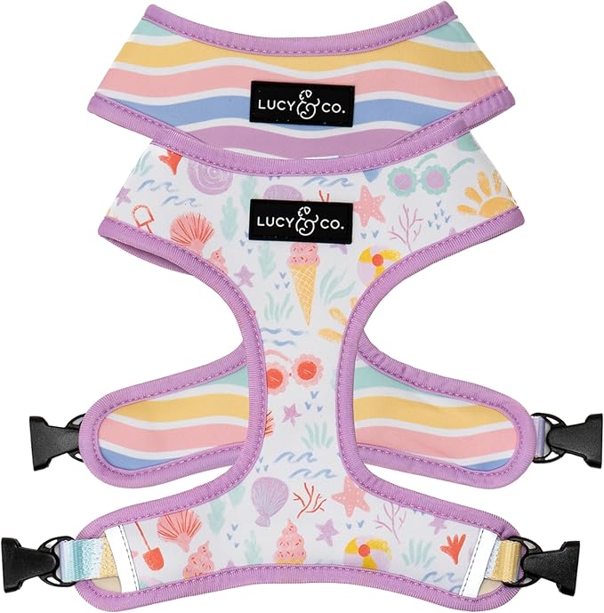Lucy & Co. Cute Reversible Dog Harness Walking Halter - Best Designer Pet Harnesses for XS - XL Dogs - Padded Adjustable Vest for Easy Walking - Small -Pastel Seashells
