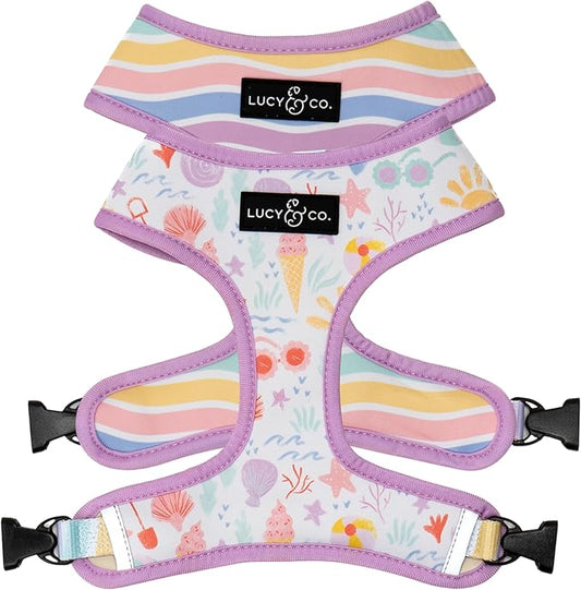 Lucy & Co. Cute Reversible Dog Harness Walking Halter - Best Designer Pet Harnesses for XS - XL Dogs - Padded Adjustable Vest for Easy Walking - Medium -Pastel Seashells