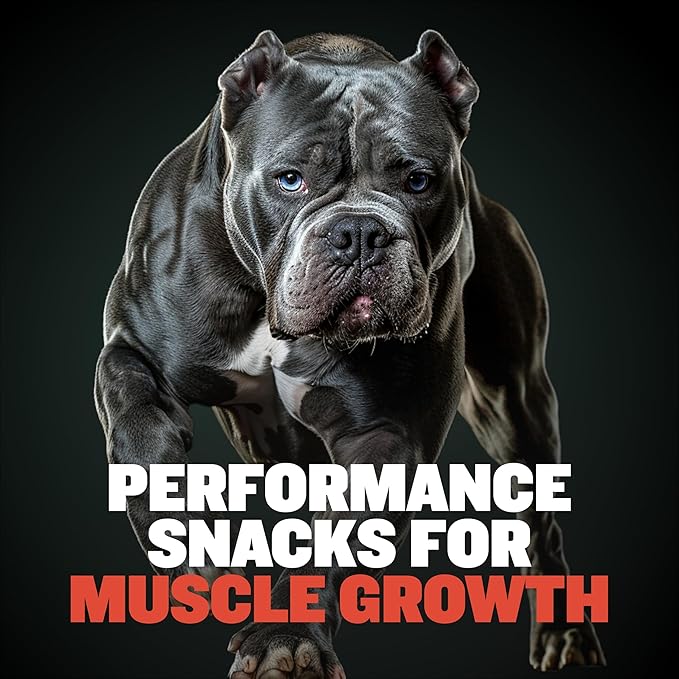 Bully Max Premium High Protein Dog Treats for Puppy & Adult Dogs - Training Dog Food Treats with 32% Protein, Real Meat, Veggies & BCAAs for Small, Medium & Large Breeds - Beef Flavor (2 Pack)
