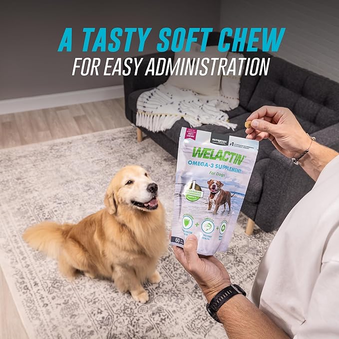 Nutramax Welactin Daily Omega-3 Supplement For Dogs, Skin & Coat Health Plus Overall Health, 60 Soft Chews