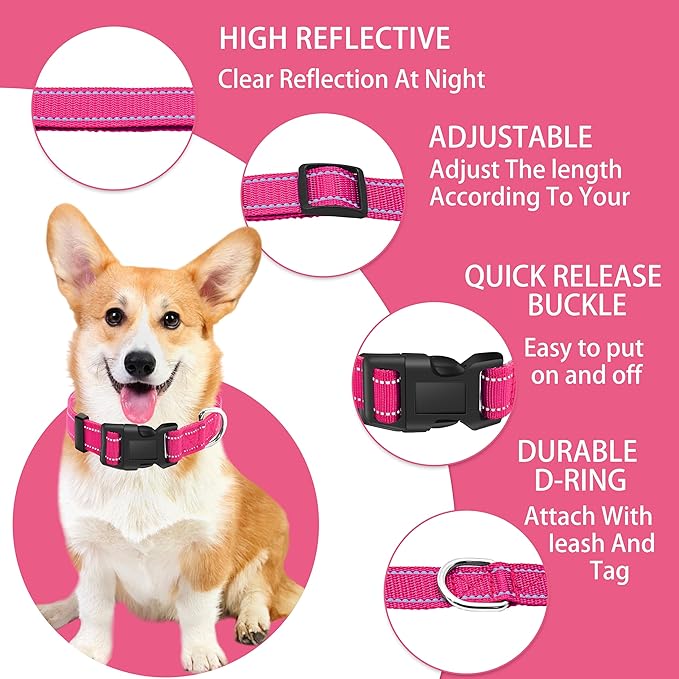 Reflective Dog Collar with Safety Locking Buckle, Adjustable Soft Breathable Nylon Collars for Small, Medium and Large Dogs(Collar+Leash S Width 3/4" Hotpink)