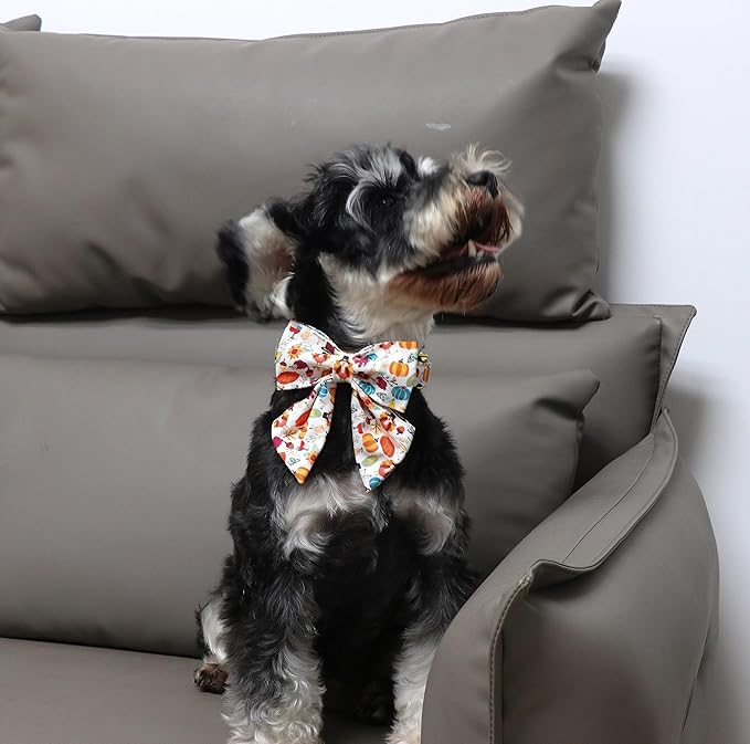 Unique Style Paws Cotton Thanksgiving Dog Collar with Bow Halloween Pumpkin Plaid Dog Collar with Bow Tie for Small Medium Large Dogs Pets Gifts