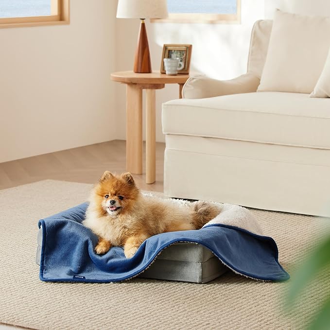 Bedsure Waterproof Dog Blankets for Small Dogs - Small Cat Blanket Washable for Couch Protection, Sherpa Fleece Puppy Blanket, Soft Plush Reversible Throw Furniture Protector, 25"X35", Blue