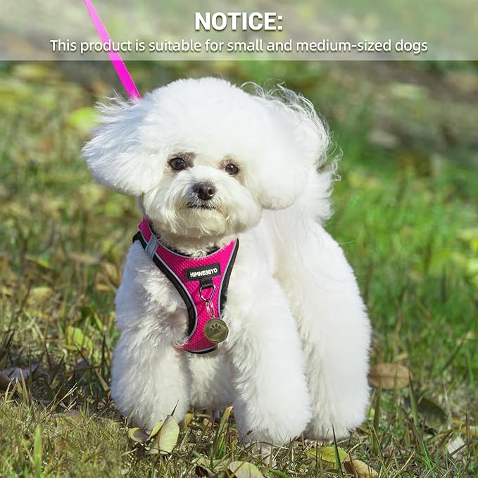 Dog Harness and Leash Set, Dog Harness for Dogs No Pull, No-Chock Step-in Reflective Breathable Lightweight Easy Walk Vest Harnesses with Safety Buckle for Small Medium Dogs, Cats (Rose red, M)