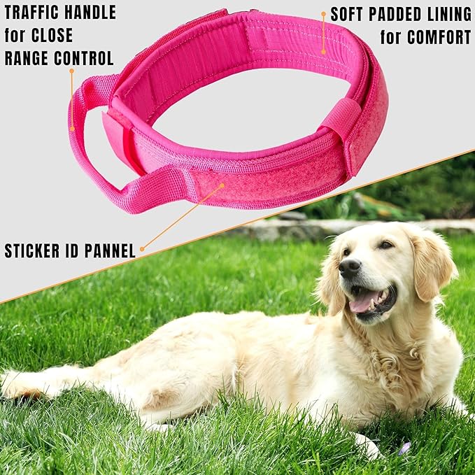 ADITYNA Tactical Dog Collar for Medium Girl Dogs - Soft Padded, Heavy Duty, Service, Adjustable, Military, K9 Pink Medium Collar with Handle for Training and Walking