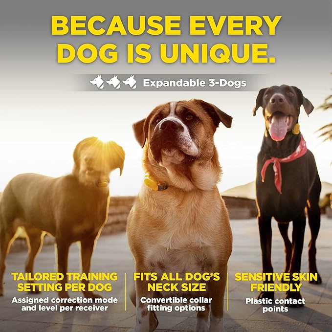 Dogtra CUE Remote Dog Training E-Collar for Small, Medium and Large Dogs - Range of 400 Yards, Waterproof, Vibrating, Rechargeable Correction Ecollar, 24 Training Levels, W/PetsTEK Clicker (2 Dogs)