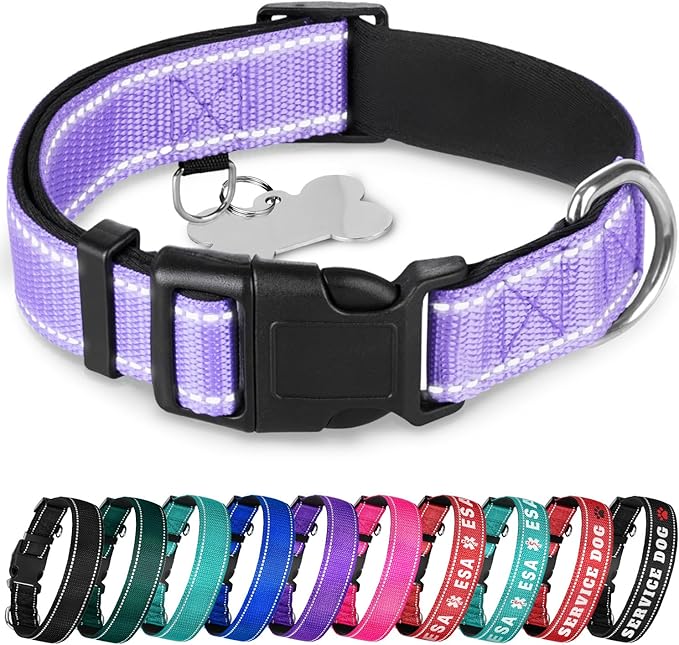 TECEUM Reflective Pet Collar – Lavender – S – Extra Soft Padding – Basic Nylon Dog Collar – Quick Release Buckle – Fits Small, Medium and Large Dogs, Puppies, Cats – ESA & Service Dog Options