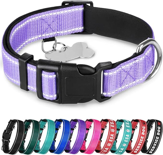 TECEUM Reflective Pet Collar – Lavender – XS – Extra Soft Padding – Basic Nylon Dog Collar – Quick Release Buckle – Fits Small, Medium and Large Dogs, Puppies, Cats – ESA & Service Dog Options