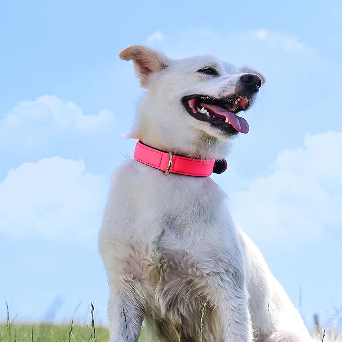 Didog Soft Padded Dog Collars for Medium Dogs, Lightweight and Breathable Pink Dog Collar Waterproof with Metal Buckle, Pink, L