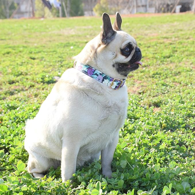 Metal Buckle Dog Collar, Durable Adjustable Dog Collar Soft for Small Medium Large Dogs (S(10-14in), Flower5)