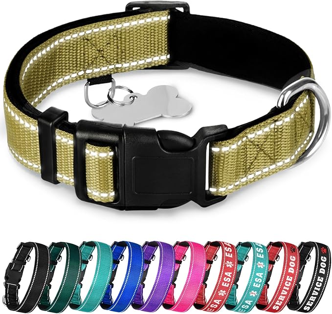 TECEUM Reflective Pet Collar – Olive – M – Extra Soft Padding – Basic Nylon Dog Collar – Quick Release Buckle – Fits Small, Medium and Large Dogs, Puppies, Cats – ESA & Service Dog Options
