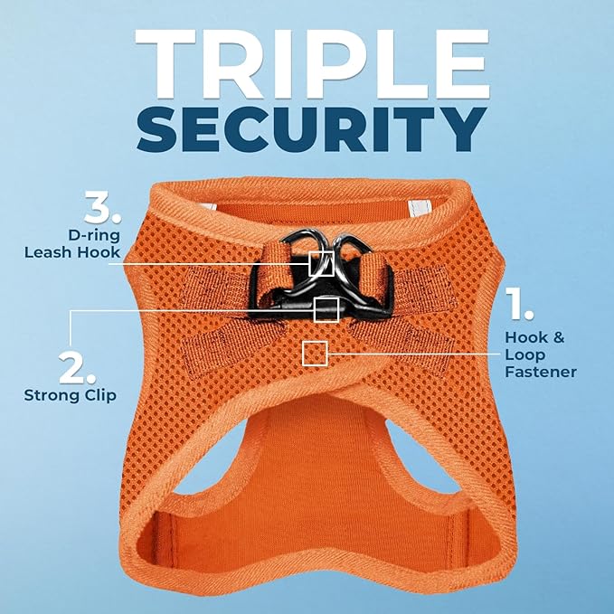 Voyager Step-in Air All Weather Mesh Harness and Reflective Dog 5 ft Leash Combo with Neoprene Handle, for Small, Medium and Large Breed Puppies by Best Pet Supplies - Set (Orange), XL