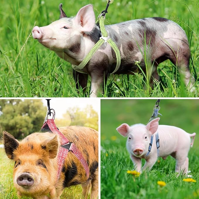 Mini Pig Harness, Adjustable Small Pig Harness with Leash Infinity Style Lead and Soft Foam Handle for Small to Medium Pet Pigs Walking Training Jogging (Pink, XL)