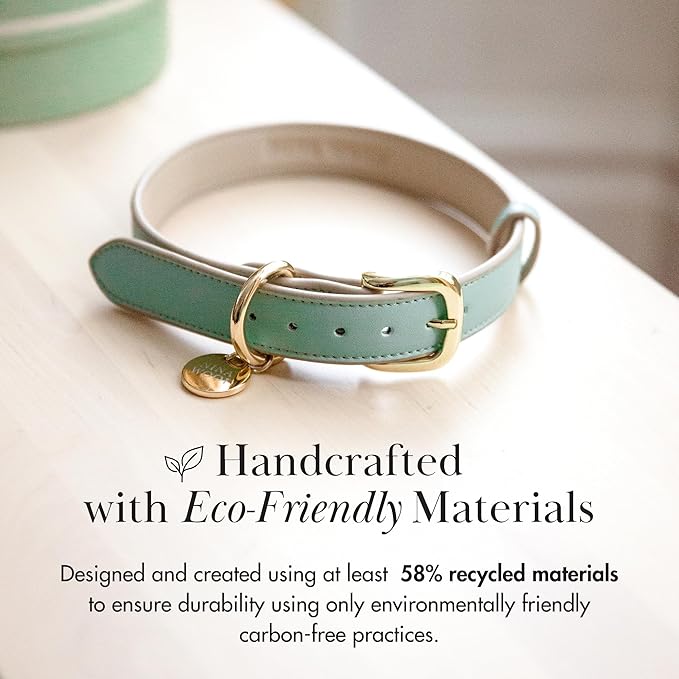 Copenhagen Leather Dog Collar - Handmade with Vegan Soft Leather Round Padded Collar with Adjustable Buckle for Extra Small, Small, Medium, and Large Dogs - Color Beige, Small