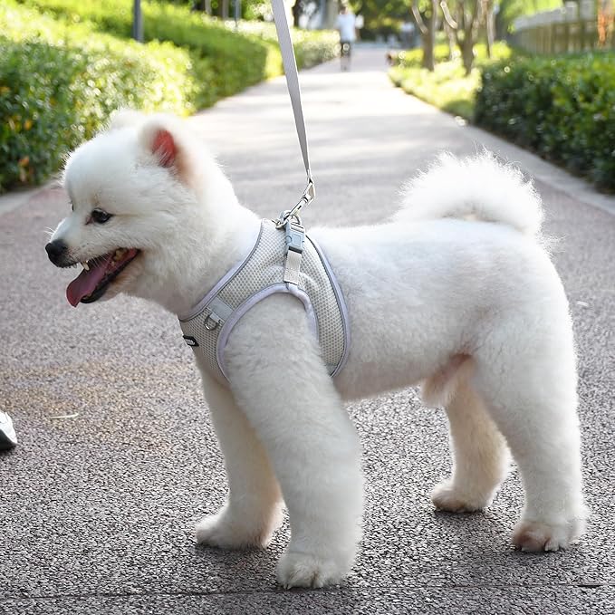 AIITLE Dog Harness and Leash Set, No Pull Step in Puppy Harness with Super Breathable Mesh, Reflective Puppy Essentials for Outdoor Walking, Training for Small Dogs, Cats Beige XS