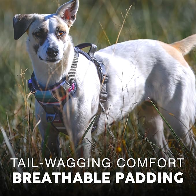 Embark Adventure Dog Harness, Reflective Trim No Pull Harness for Medium Sized Dog - Military Grade Nylon, Front Clip with Gel Lined Handle. Soft & Padded Puppy