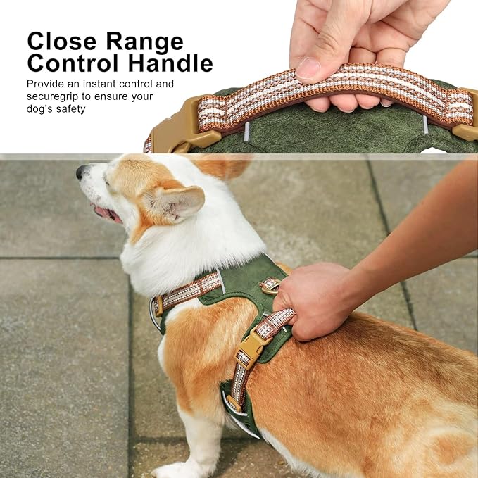 Beirui Dog Harness for Large Dogs, Stylish Oxford Leather Pet Vest with 2 Leash Clips, Adjustable Reflective Soft Padded No Pull Harness with Easy Control Handle for Walking, Chest 31-44"