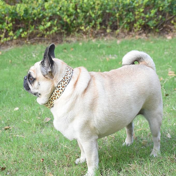 Metal Buckle Dog Collar, Durable Adjustable Dog Collar Soft for Small Medium Large Dogs (L(15-23in), Yellow Leopard)