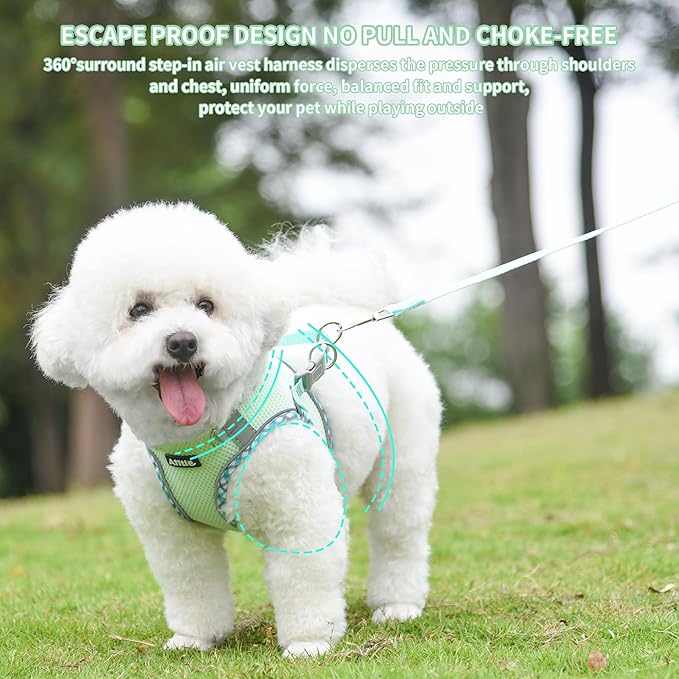 AIITLE Teacup Puppy Harness with Leash - Adjustable Soft Vest with Magic Velcro & Reflective Safety Strips, Easy-Put-On for Poodles, Pomeranians - Gym, Hiking, Travel (Sage, S)