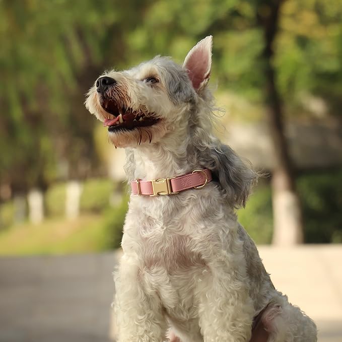 PET ARTIST Bright & Classic Leather Dog Collar, Durable & Heavy Duty Pink Dog Collar with Quick Release Metal Buckle, Adjustable Nylon Padded Pet Collar for Medium Dogs Girl, Neck Fit 13-19"