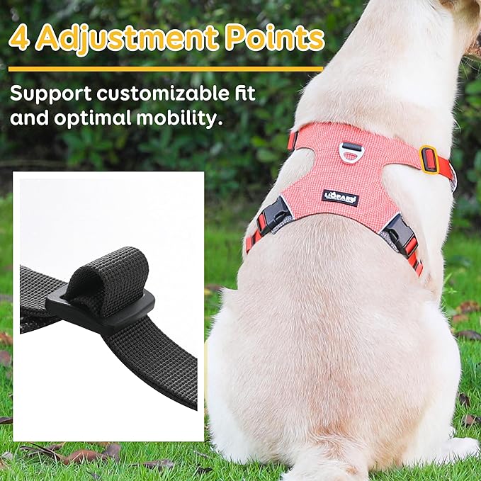 Dog Harness, Easy Walk Pet Harness No Pull with 2 Leash Clips, Reflective Running Soft Padded Adjustable Puppy Vest, Heavy Duty Seatbelt Harness for Car for Small Dogs (Orange, XL)