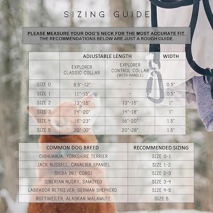 Made to ROAM Premium Explorer Control Collar - Adjustable Heavy Duty Nylon Dog Collar with Quick-Release Metal Buckle and Leather Handle (Montana Moonrise, Size 2, Control)