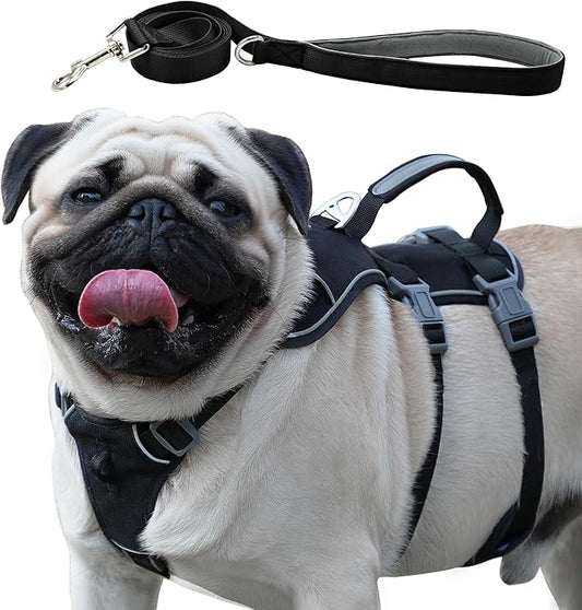 Escape Proof Dog Harness and Leash Set, Lightweight Dog Harness with Lift and Assist Handle, No Pull Reflective Pet Vest for Small Medium Dogs, Ideal for Puppy Walking and Training (Black,XS)