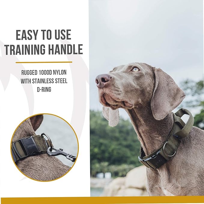 OneTigris Tough Dog Collars, Tactical Dog Collar with Handle, Milltary Adjustable Dog Collar with Heavy Duty Metal Buckle for Training (Medium (Pack of 1), Green)