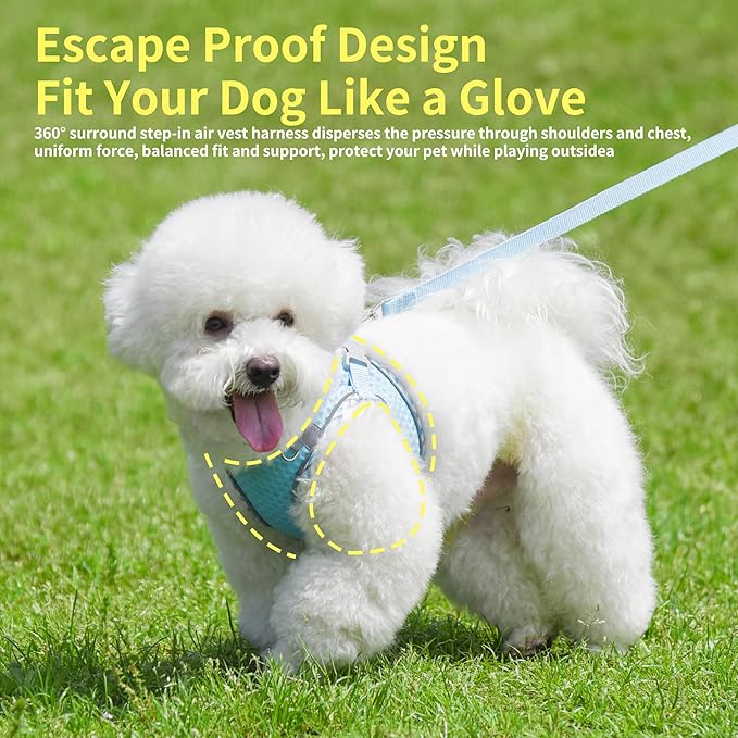 Tiny Dog Harness, All Weather Diamond Mesh, Reflective Stripes, No Pull Step in Lightweight Vest Harness for Puppy, Small Dogs and Cats Blue XXXS