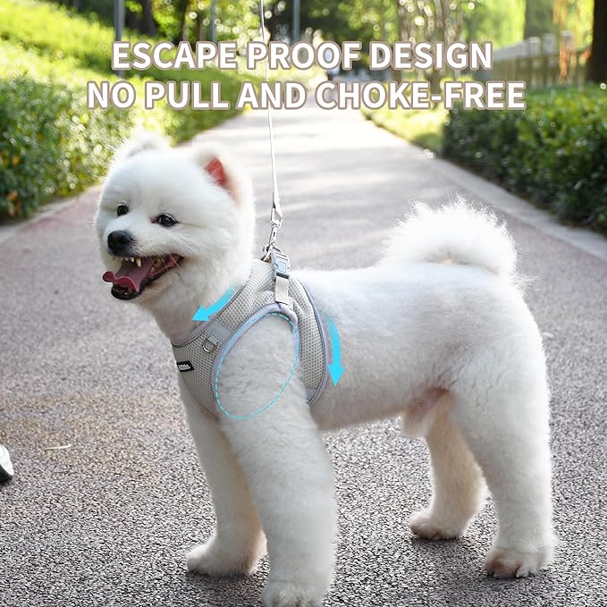 AIITLE Small Dog Harness, No-Pull Cat Harness with a Leash, Step in Adjustable Puppy Harness with Quick-Release Buckle, Reflective Outdoor Pet Vest for Extra Small Dogs and House Cats Beige XXS