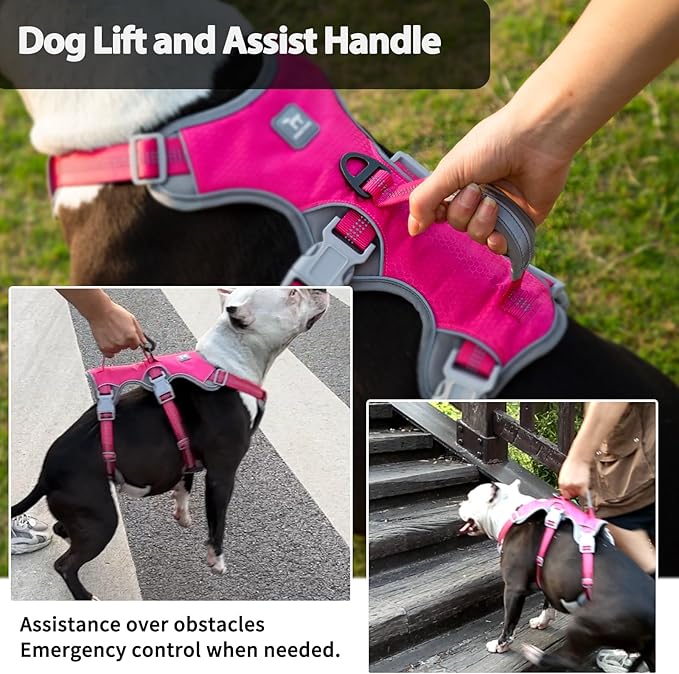 No Escape Dog Harness, Escape Proof Harness, Reflective Harness with Padded Handle, Breathable, Durable, Adjustable Vest for Small Dogs Walking, Training, and Running Gear（Rose red, S