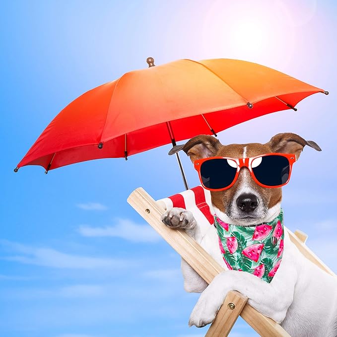 ADOGGYGO Summer Hawaii Dog Bandana, 6 Pack Flamingo & Fruit Pattern Triangle Summer Bandanas for Medium Large Dogs Pets (Large)