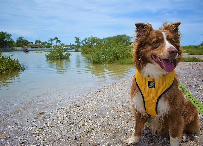 Classic Dog Harness Over The Head No Pull No Choke Design Soft Padded Mesh Breathable Vest for Eco-Friendly Easy Control Walking for Large & Extra Large Dogs (XXL, Yellow)