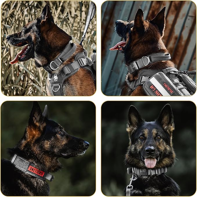 OneTigris Tough Dog Collars, Tactical Dog Collar with Handle, Milltary Adjustable Dog Collar with Heavy Duty Metal Buckle for Training (Large,Gray)