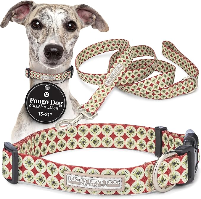 Lucky Love Dog - Easy Click Buckle Dog Collar with Leash Set Combo, Durable & Comfortable Collar for Male & Female Dogs, Pet Collar for Small to Large Dogs, Secure Fit - Pongo Combo, Medium